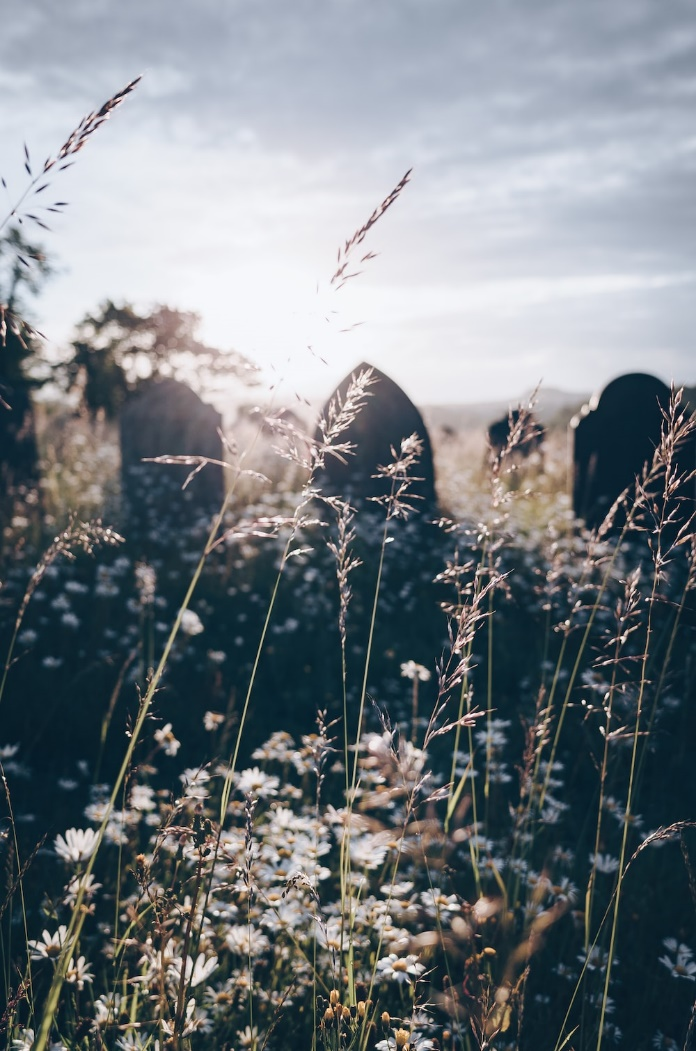 Flowers in a graveyard