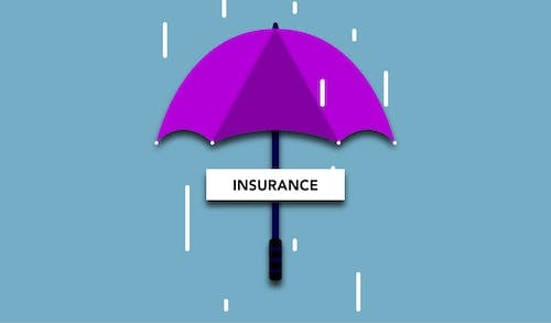 illustration of term 'insurance' posted under an umbrella